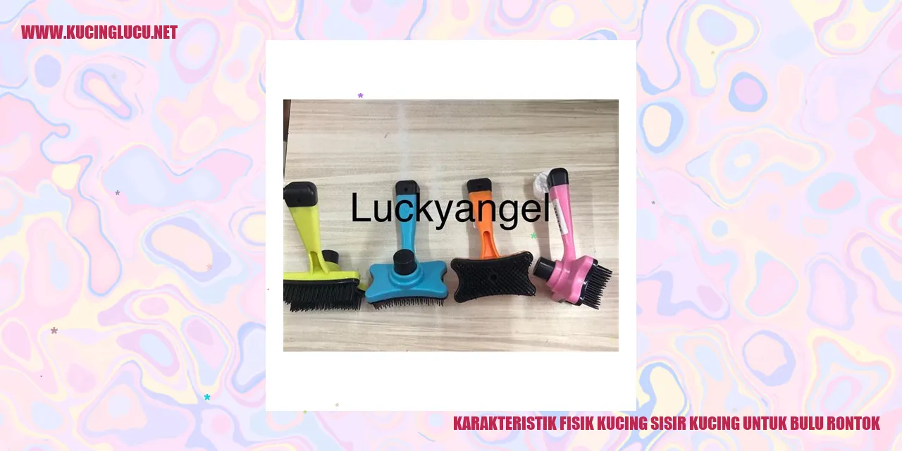 Kucing dengan bulu rontok