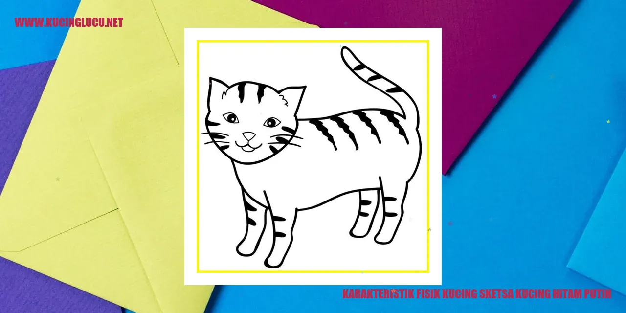 Karakteristik Fisik Kucing sketsa kucing hitam putih