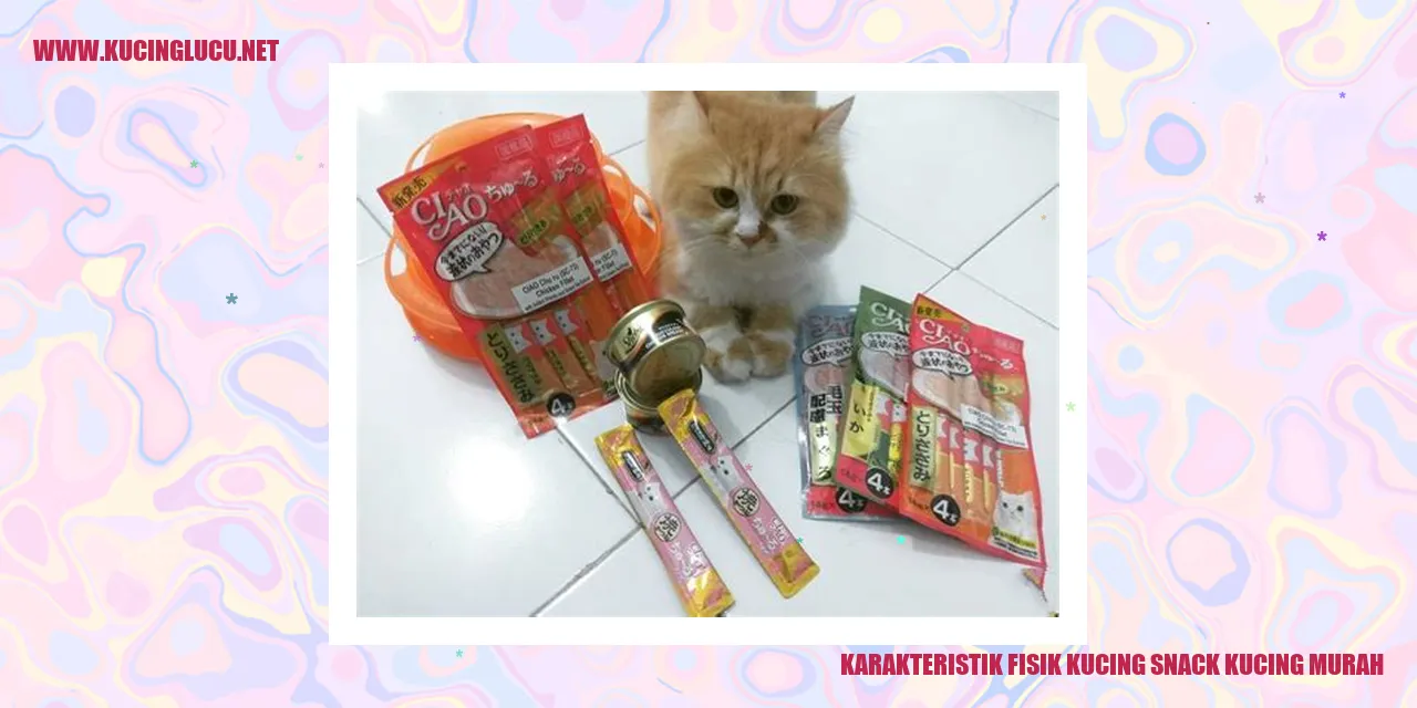 Gambar Snack Kucing Murah