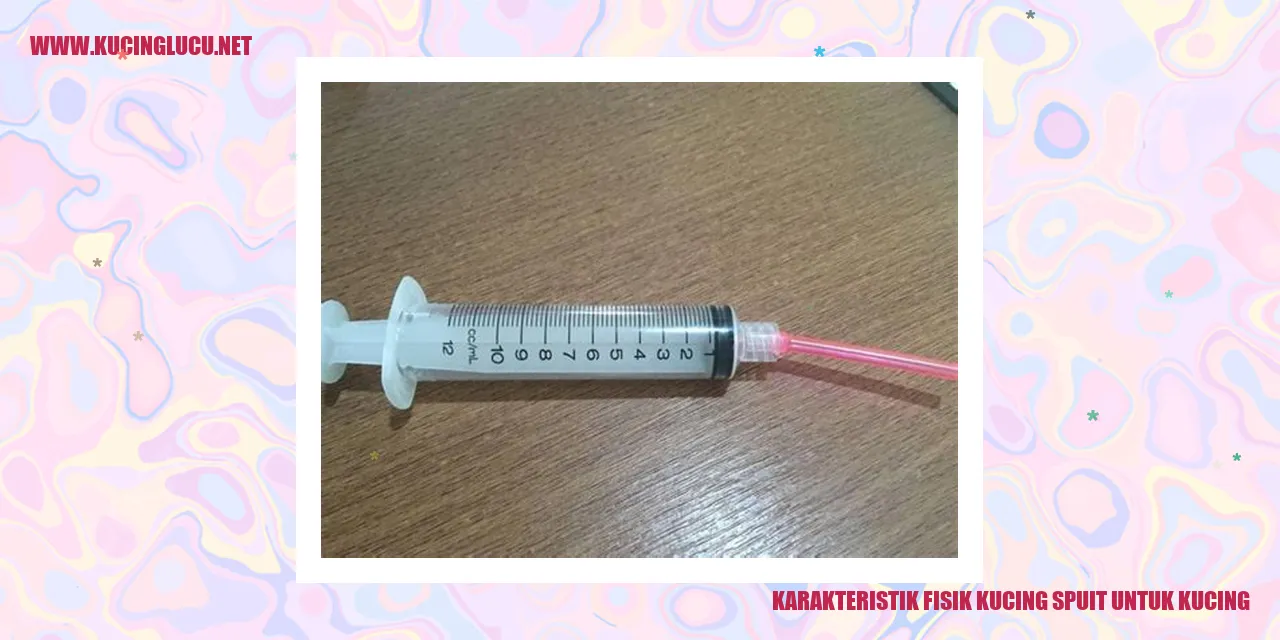 Karakteristik Fisik Kucing