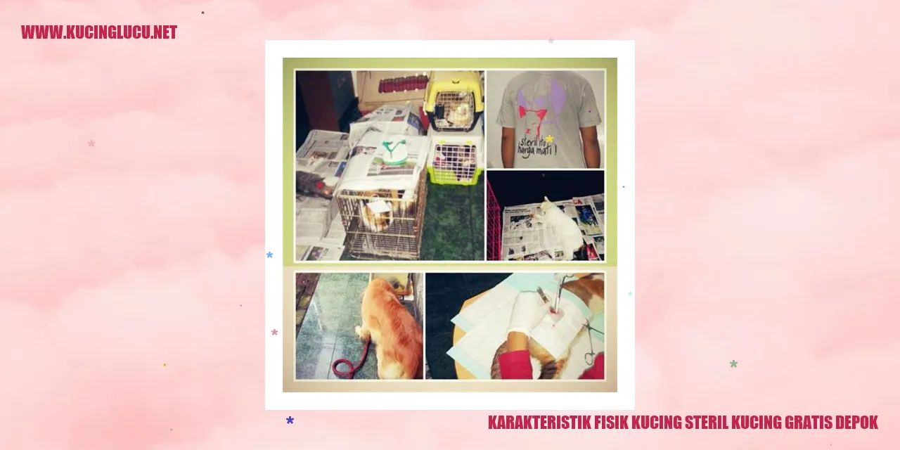Karakteristik Fisik Kucing steril kucing gratis depok