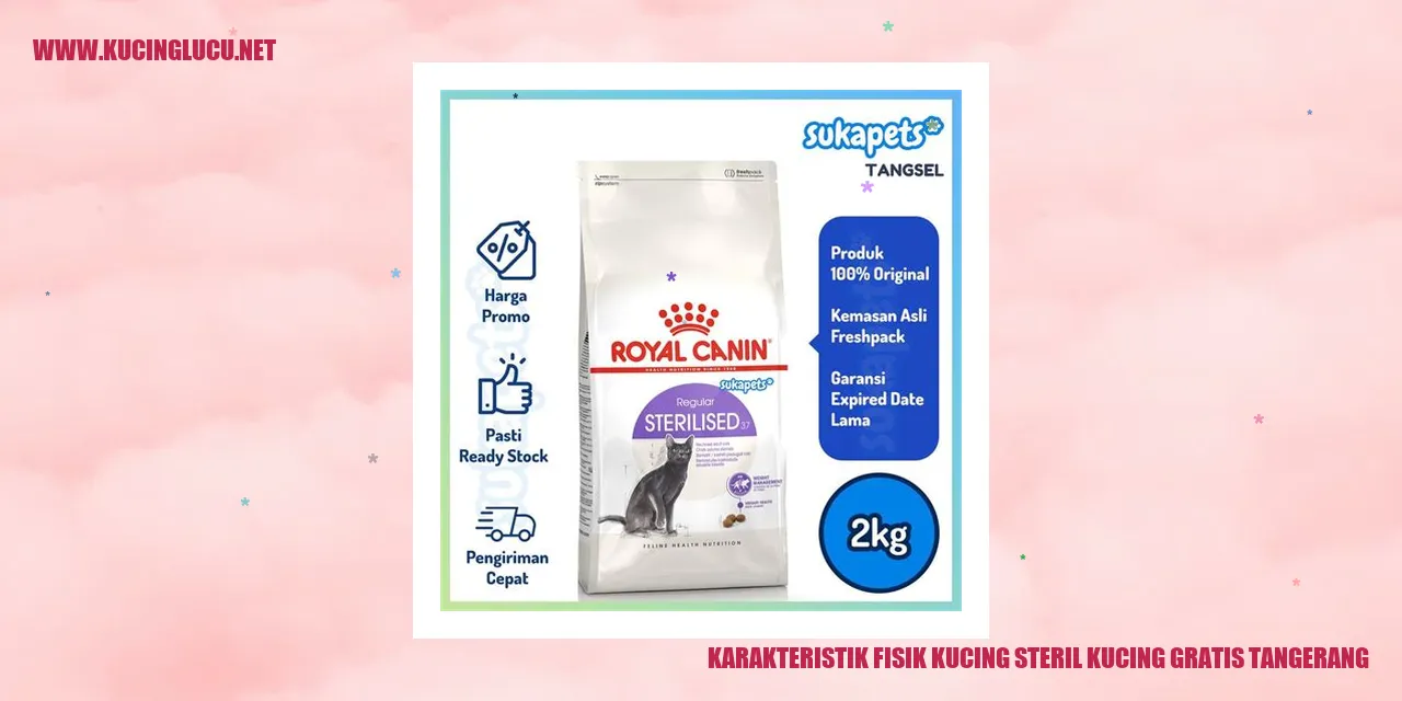Karakteristik Fisik Kucing