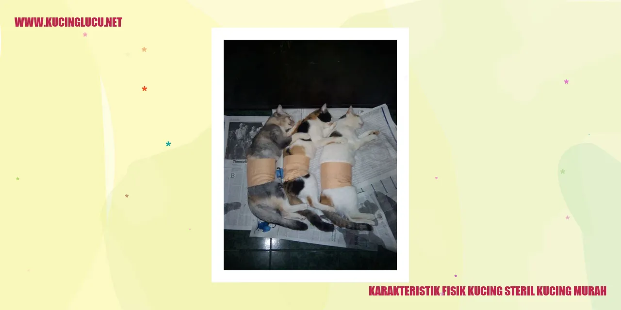 Kucing Steril dan Manfaatnya