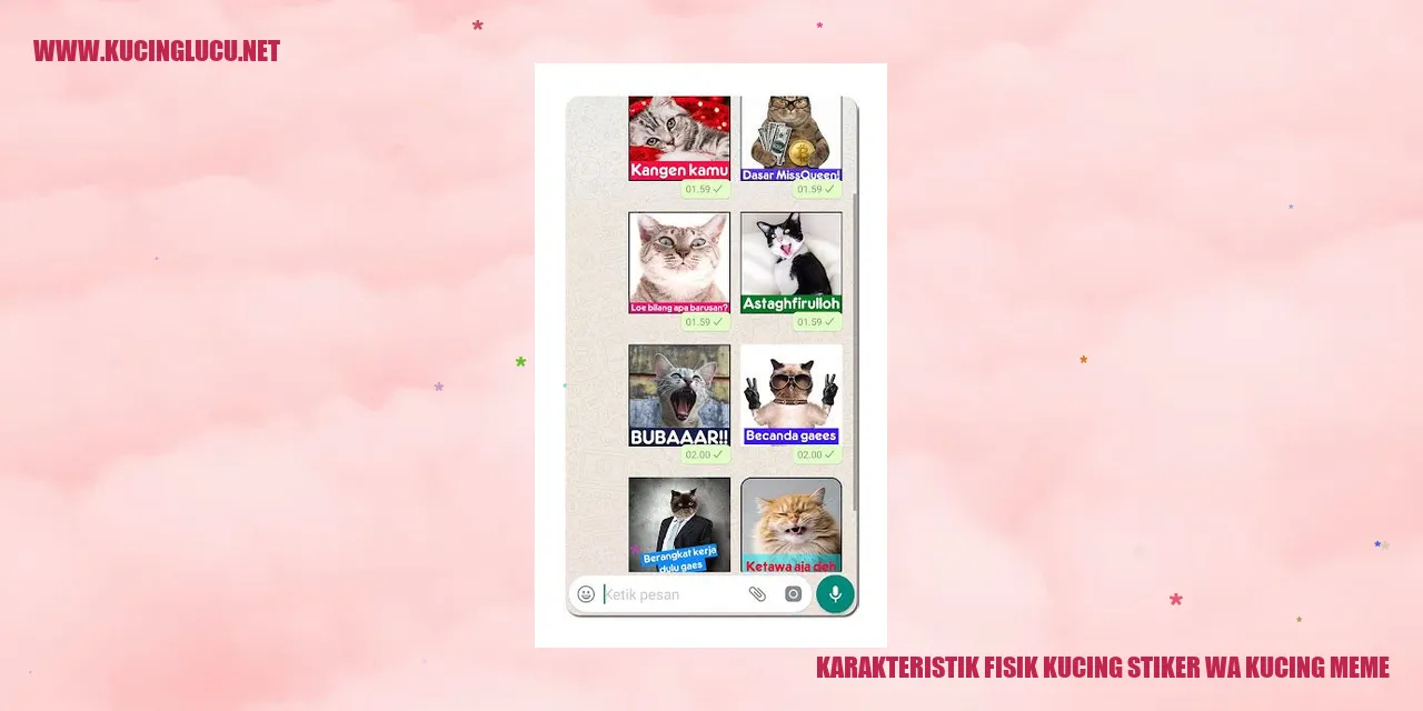Stiker wa kucing meme