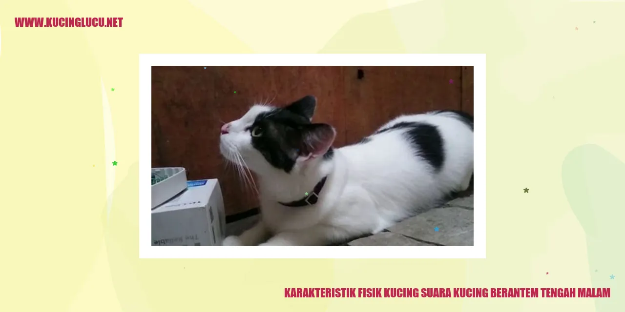 Karakteristik Fisik Kucing