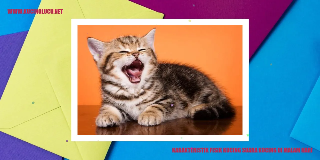 Karakteristik Fisik Kucing suara kucing di malam hari