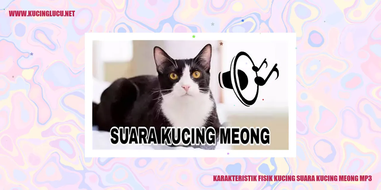 Kucing Menggemaskan