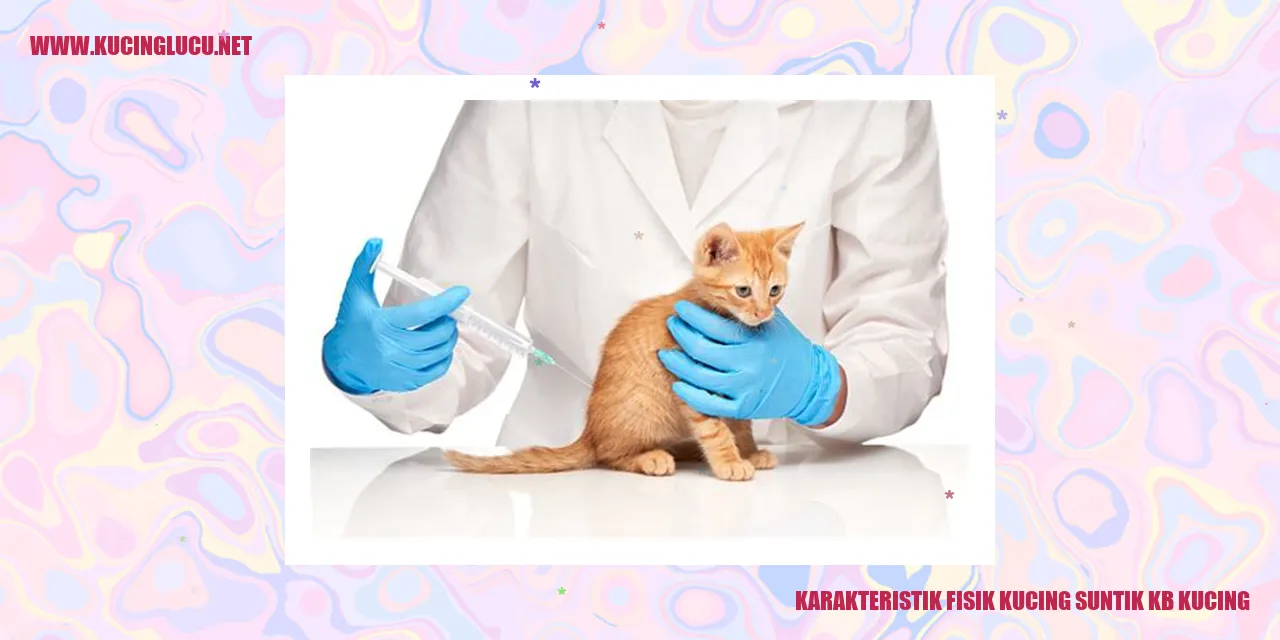 Kucing suntik KB