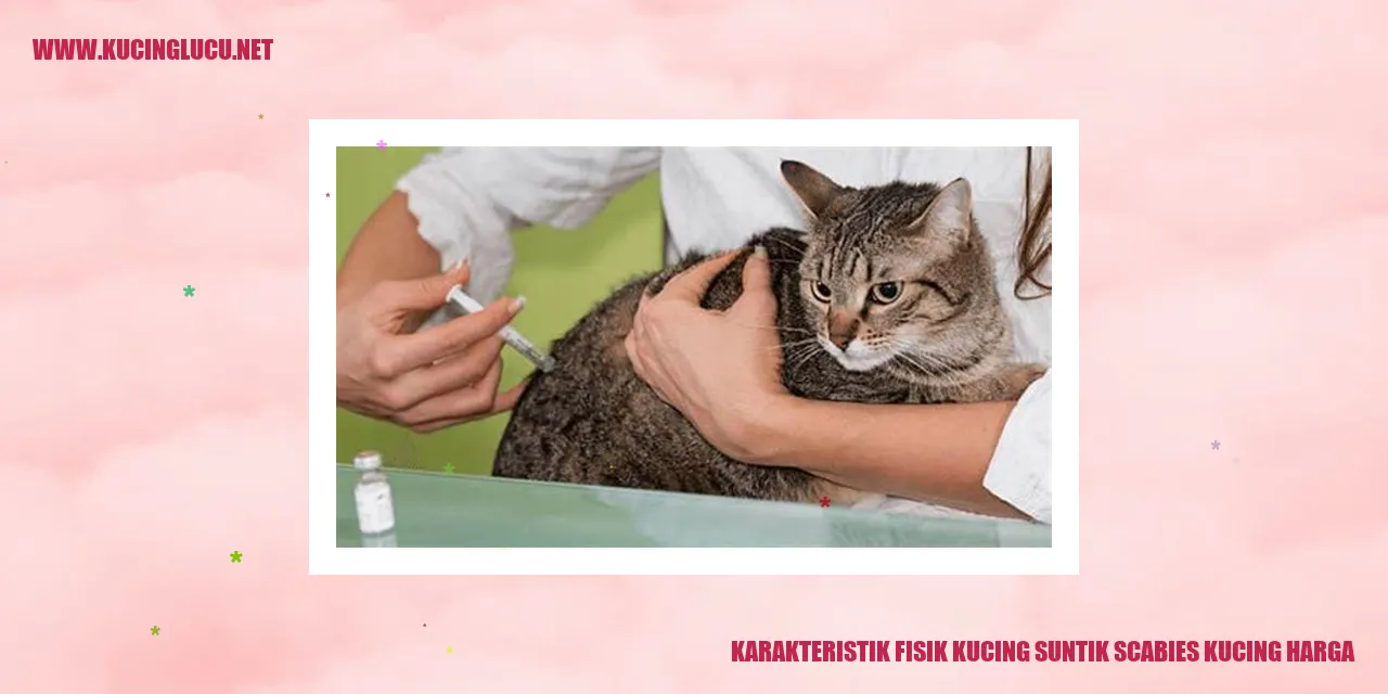 Gambar karakteristik fisik kucing