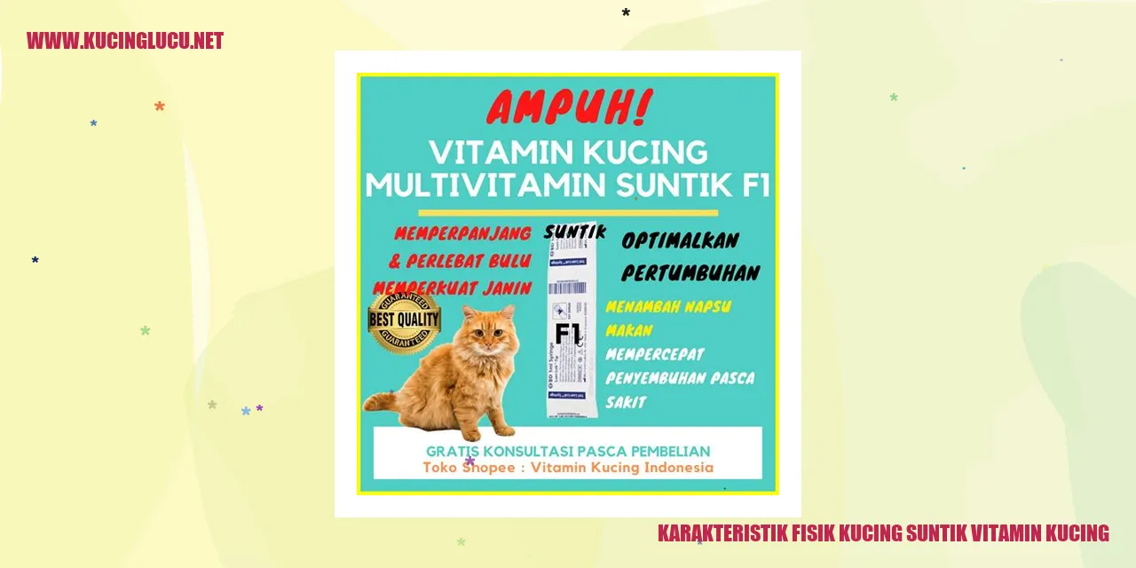 Kucing Suntik Vitamin
