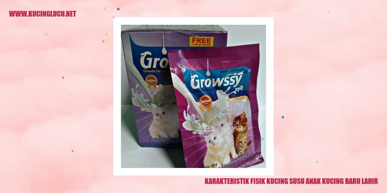 Gambar Kucing Anak Baru Lahir