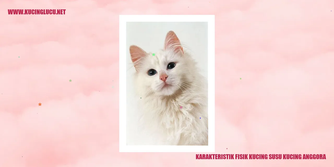 Kucing Anggora
