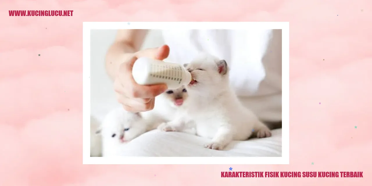 Karakteristik Fisik Kucing susu kucing terbaik