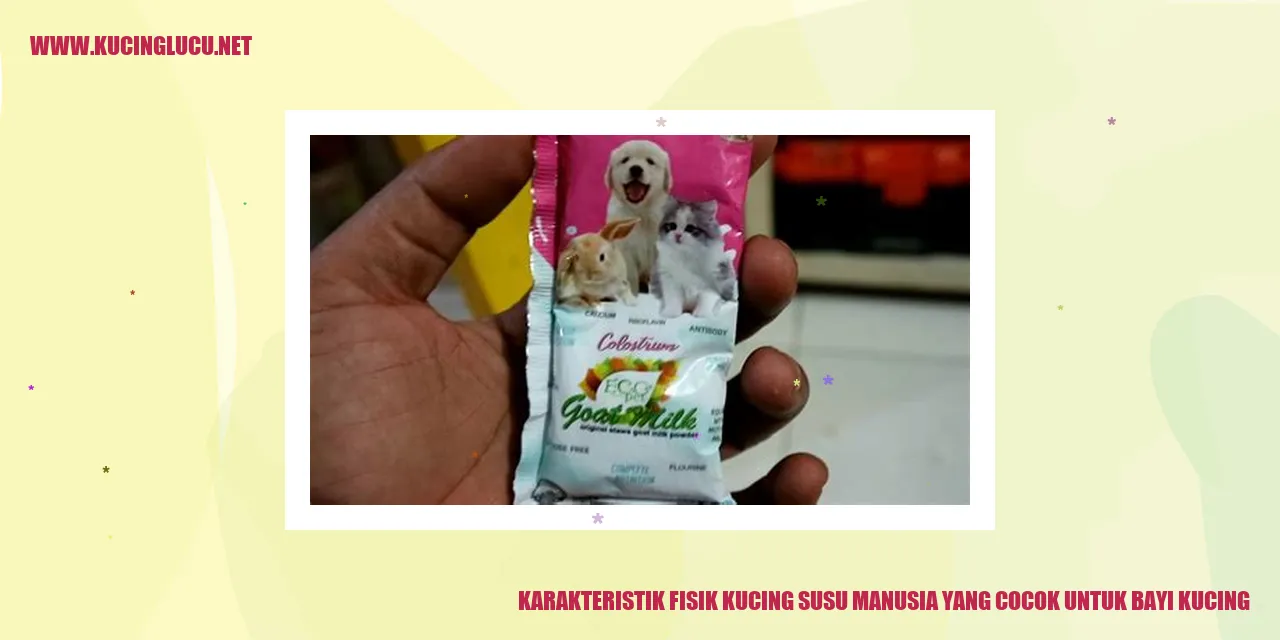 Karakteristik Fisik Kucing susu manusia yang cocok untuk bayi kucing