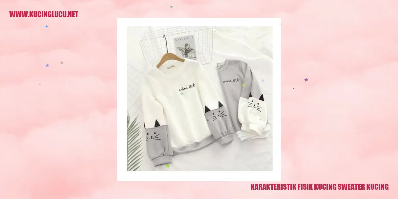 Kucing Sweater