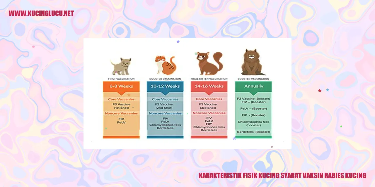 Karakteristik Fisik Kucing