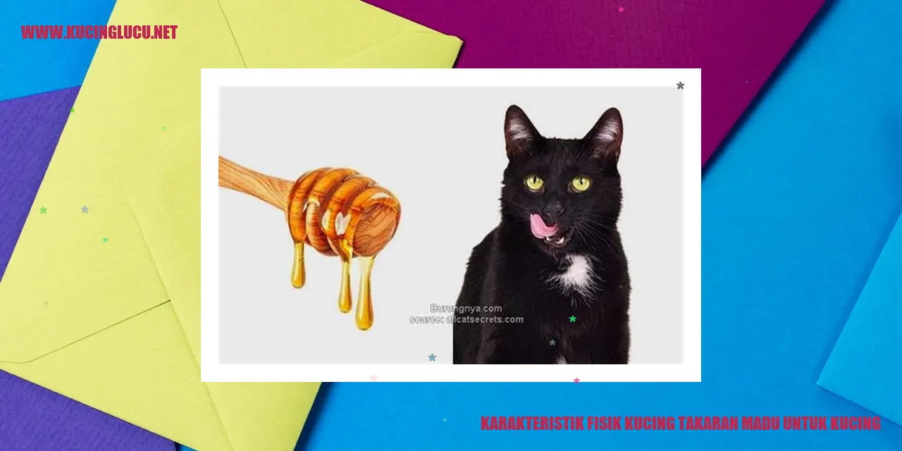 Gambar Kucing