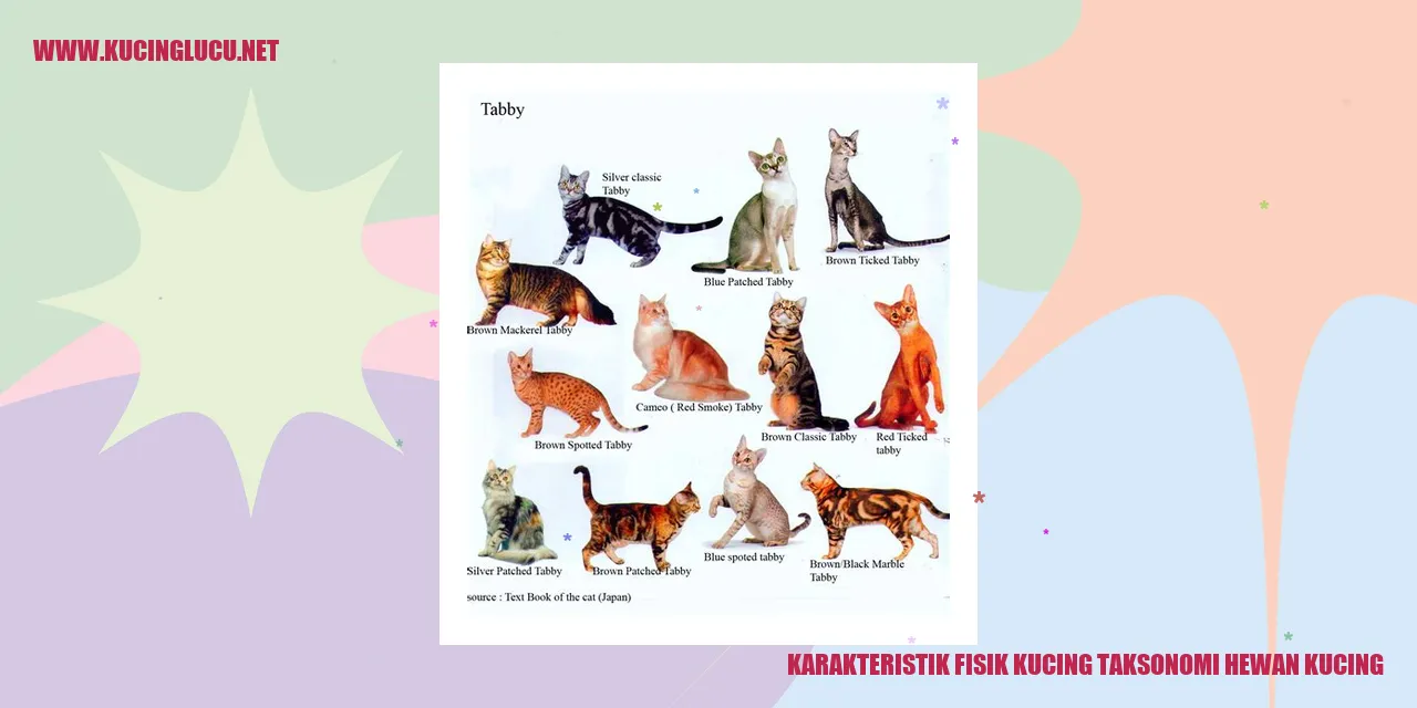 Keunikan Fisik Kucing