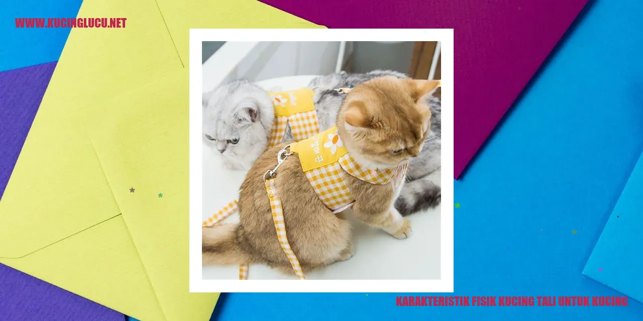 Karakteristik Fisik Kucing