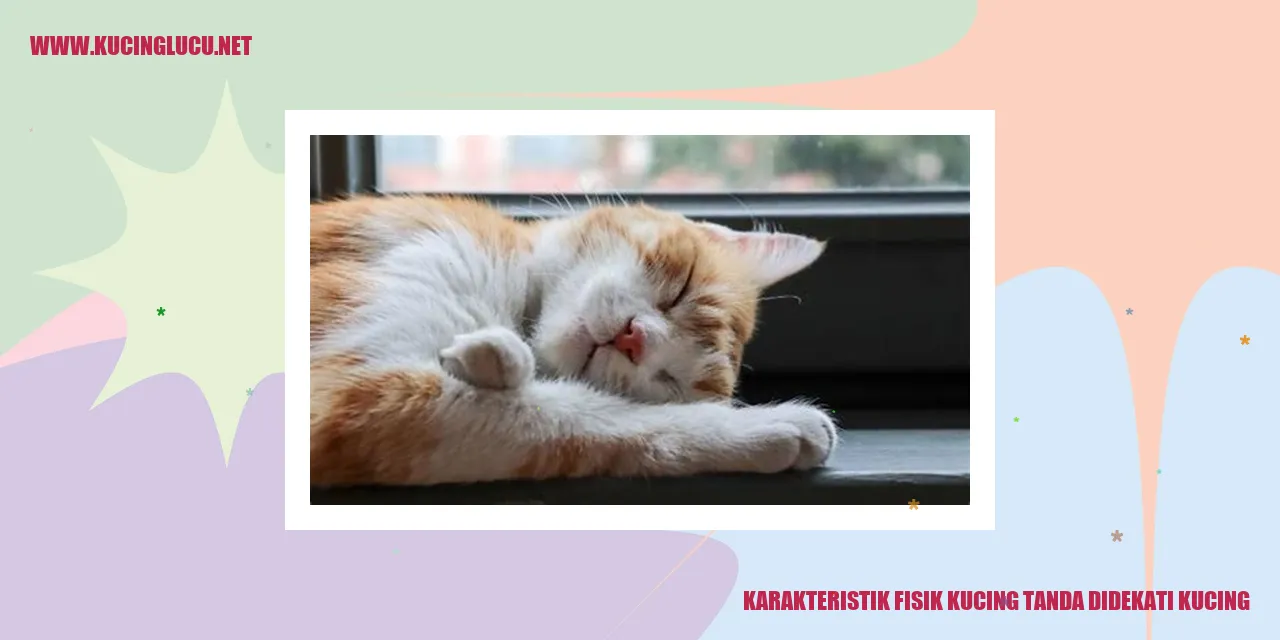 Karakteristik Fisik Kucing
