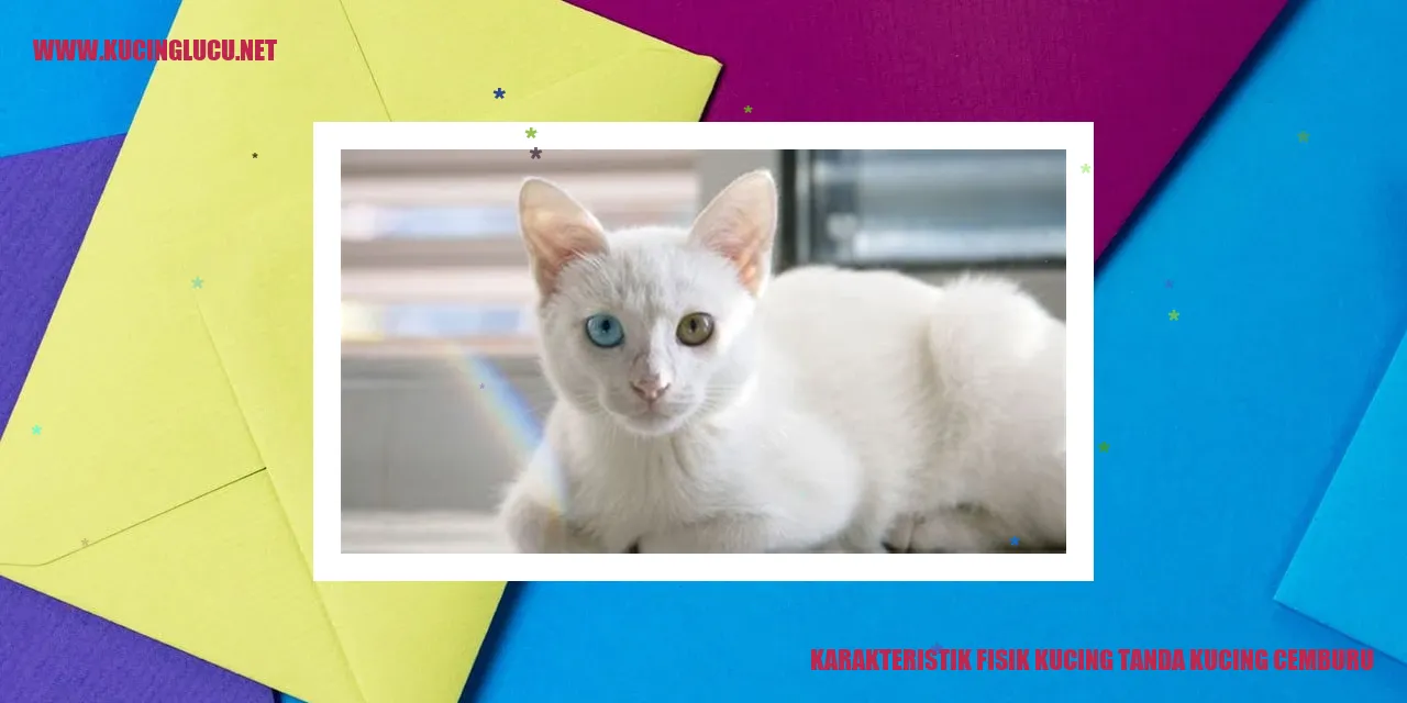 gambar kucing cemburu