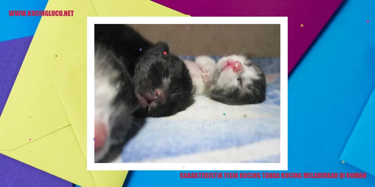 Karakteristik Fisik Kucing
