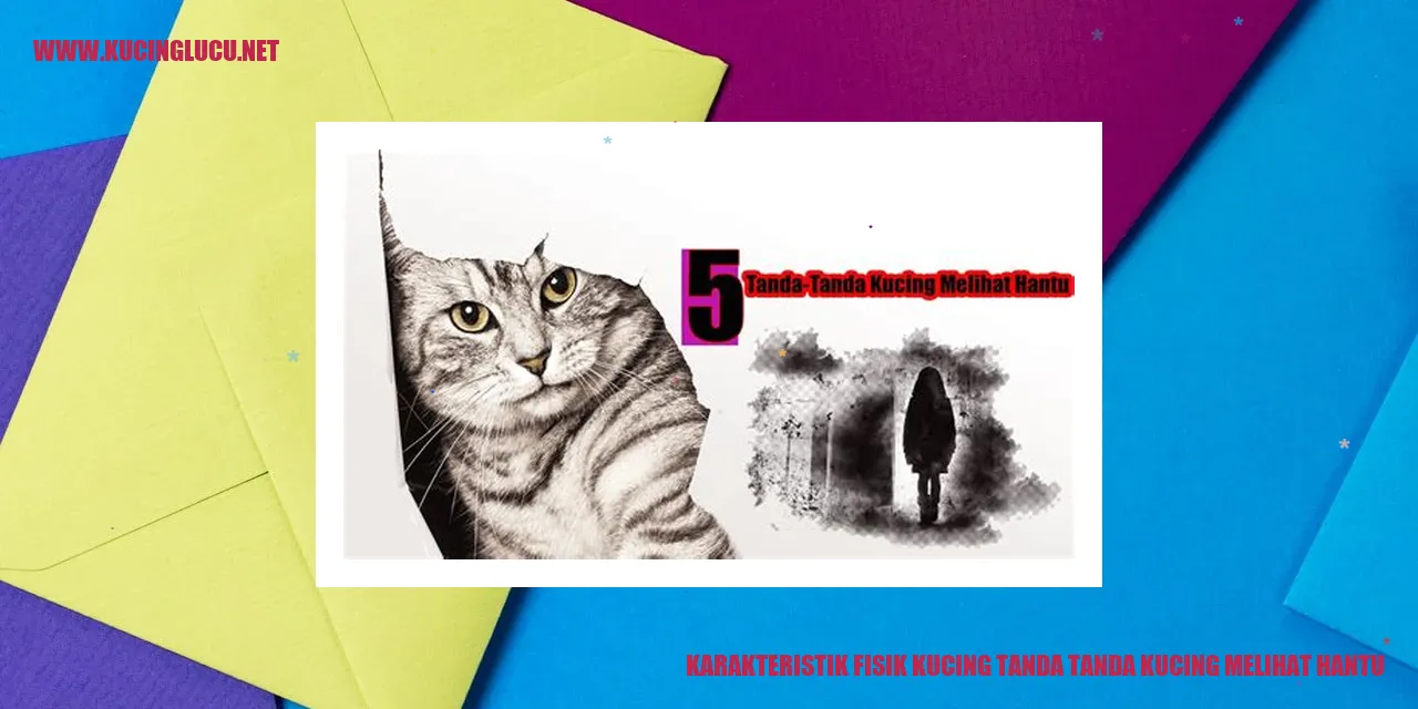Gambar Kucing yang Mengintip