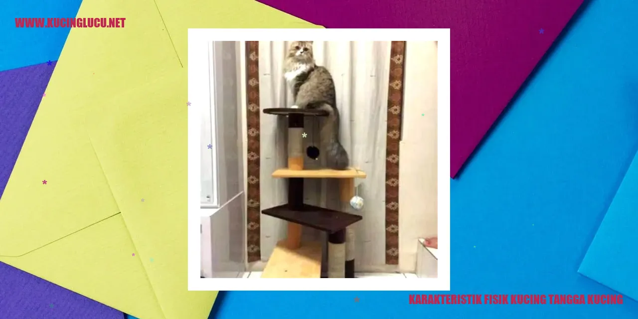 Karakteristik Fisik Kucing Tangga Kucing
