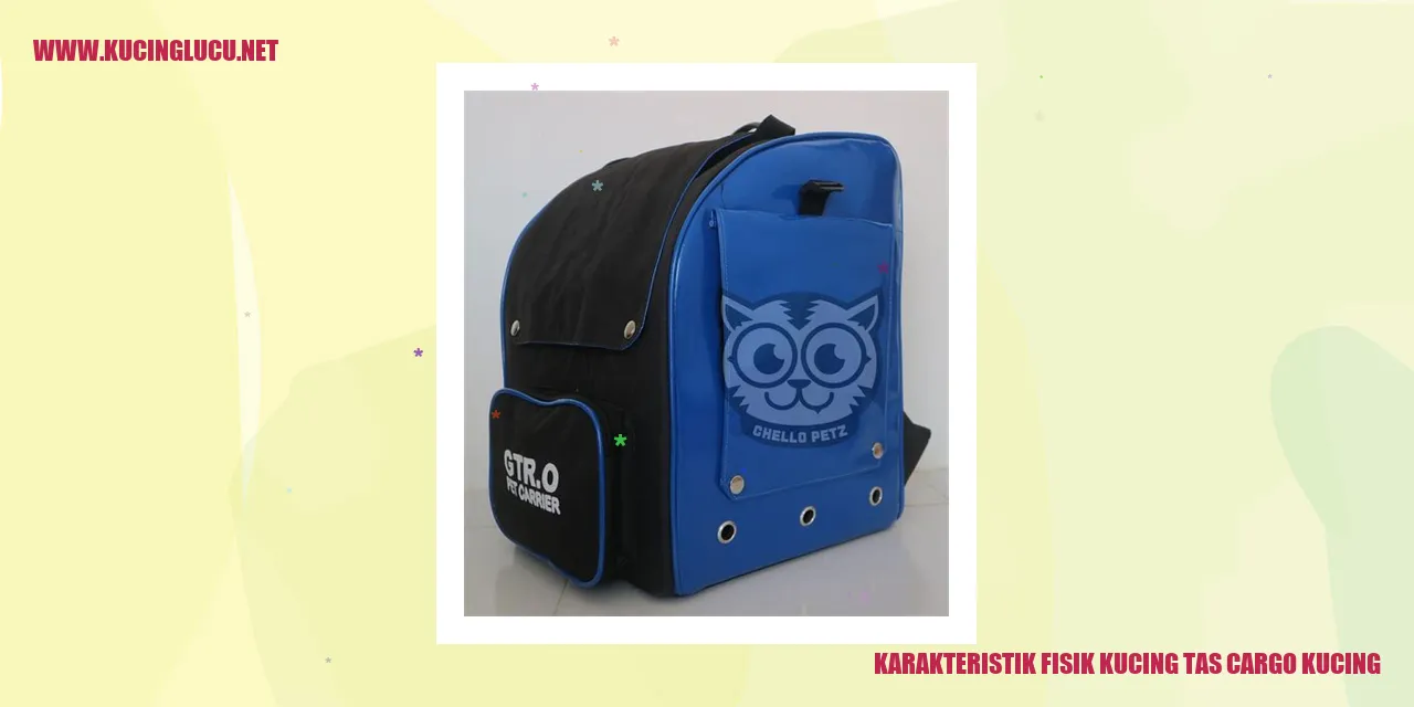 gambar kucing tas cargo