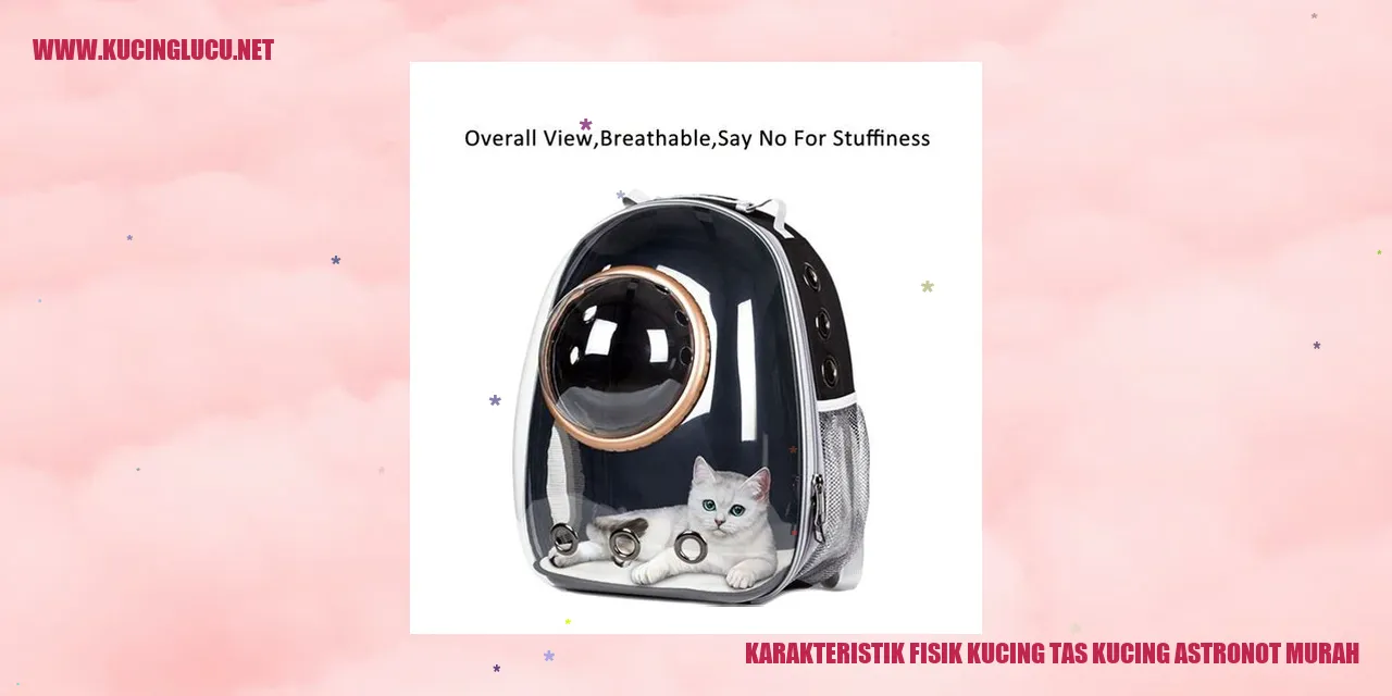 Tas Kucing Astronot Murah