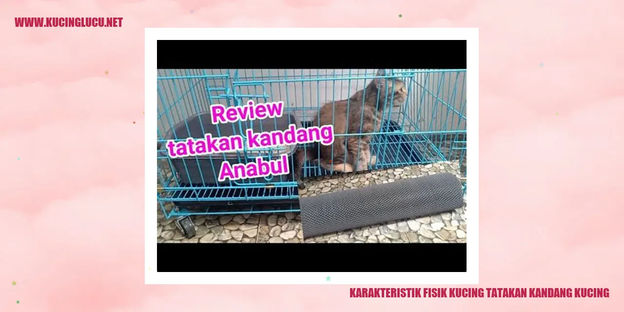 Karakteristik Fisik Kucing