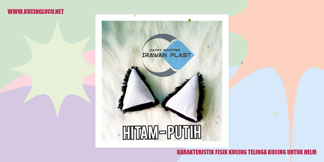 Karakteristik Fisik Kucing Telinga Kucing untuk Helm