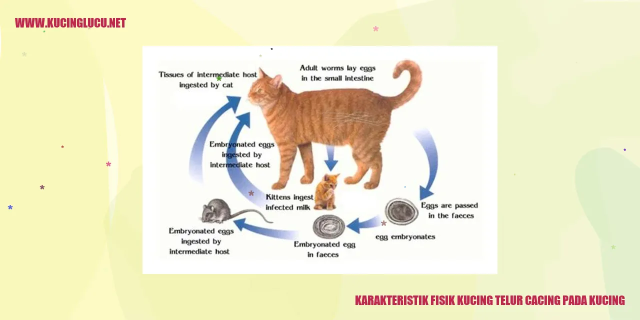 Karakteristik Fisik Kucing Telur Cacing pada Kucing