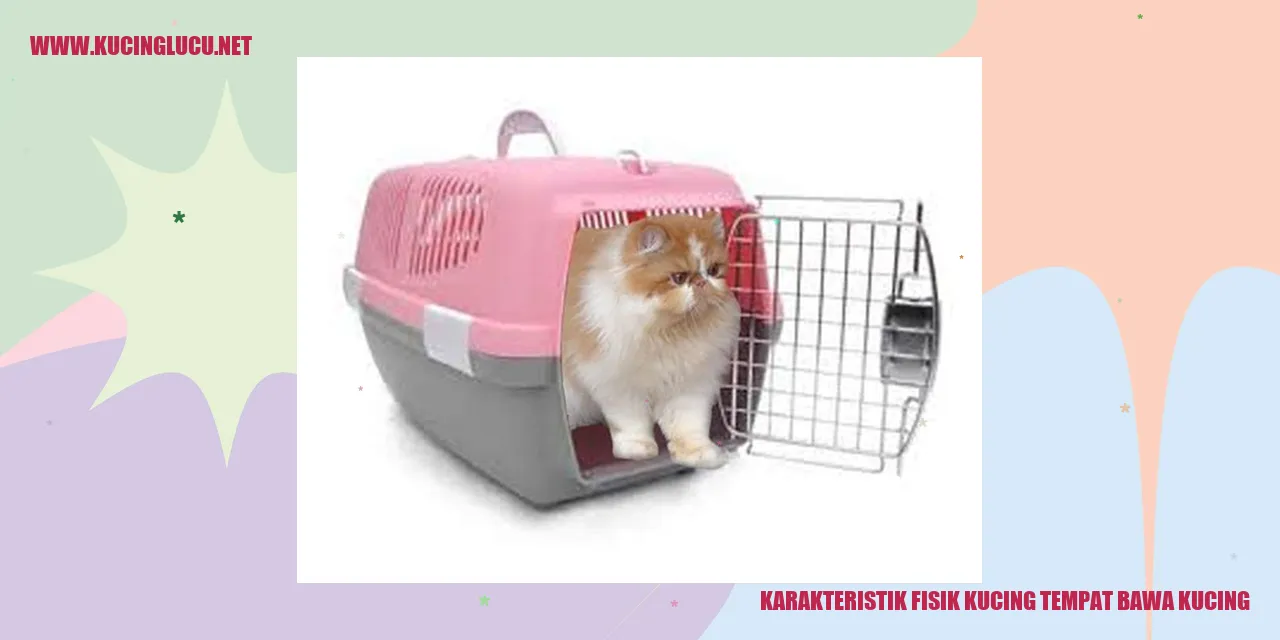 Karakteristik Fisik Kucing tempat bawa kucing