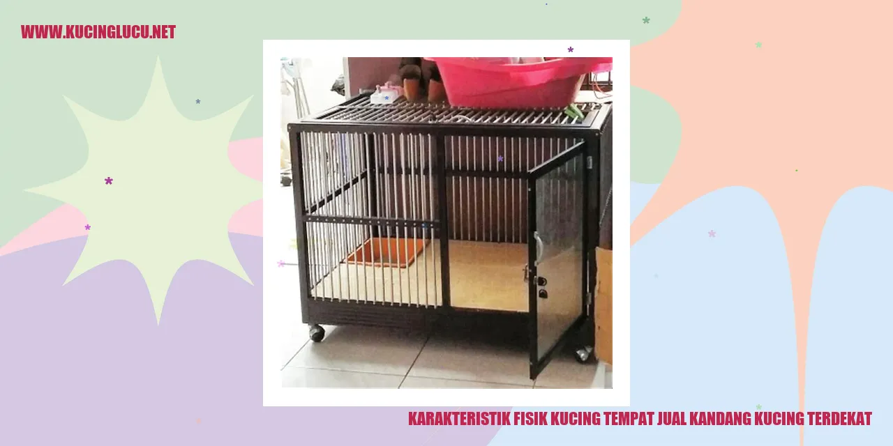 Karakteristik Fisik Kucing