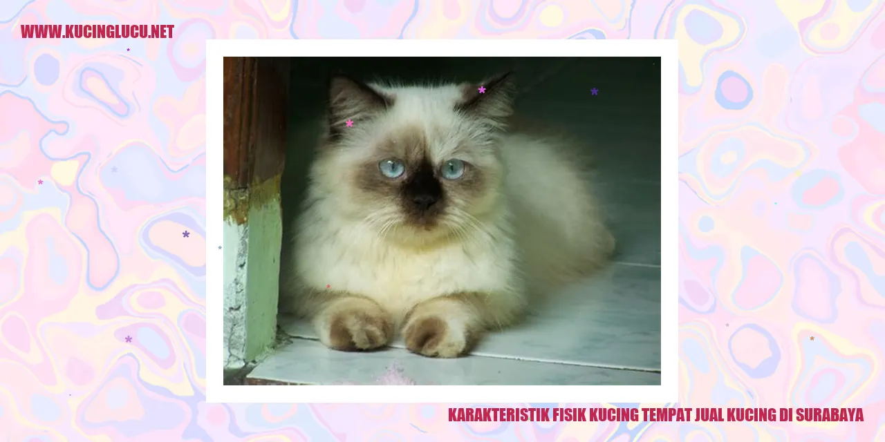 Karakteristik Fisik Kucing