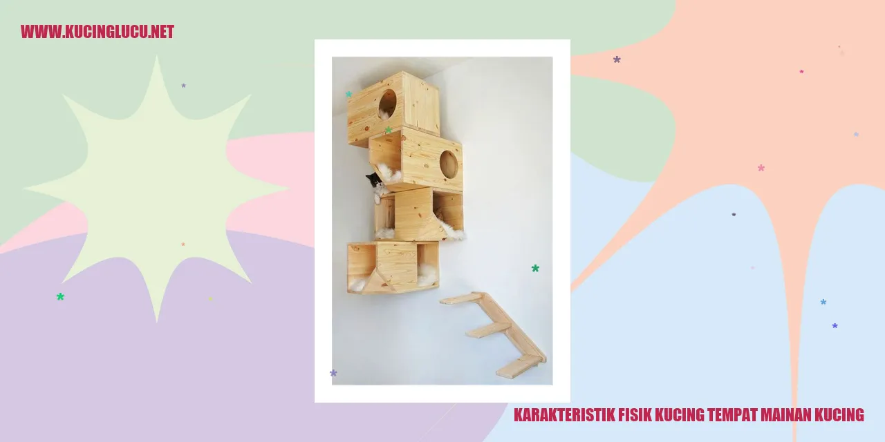 Karakteristik Fisik Kucing tempat mainan kucing