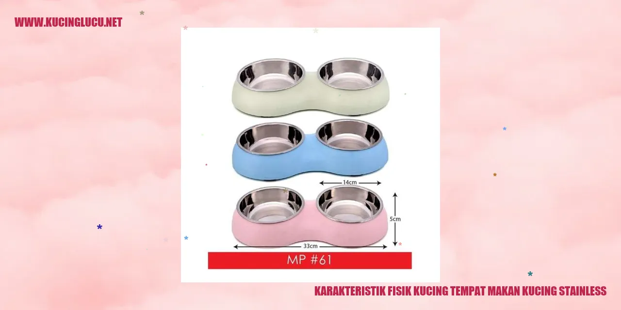 Gambar karakteristik fisik kucing stainless steel