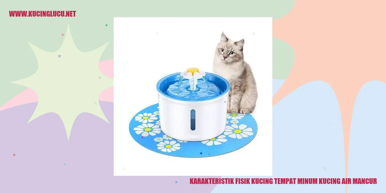 Foto Kucing minum dari air mancur