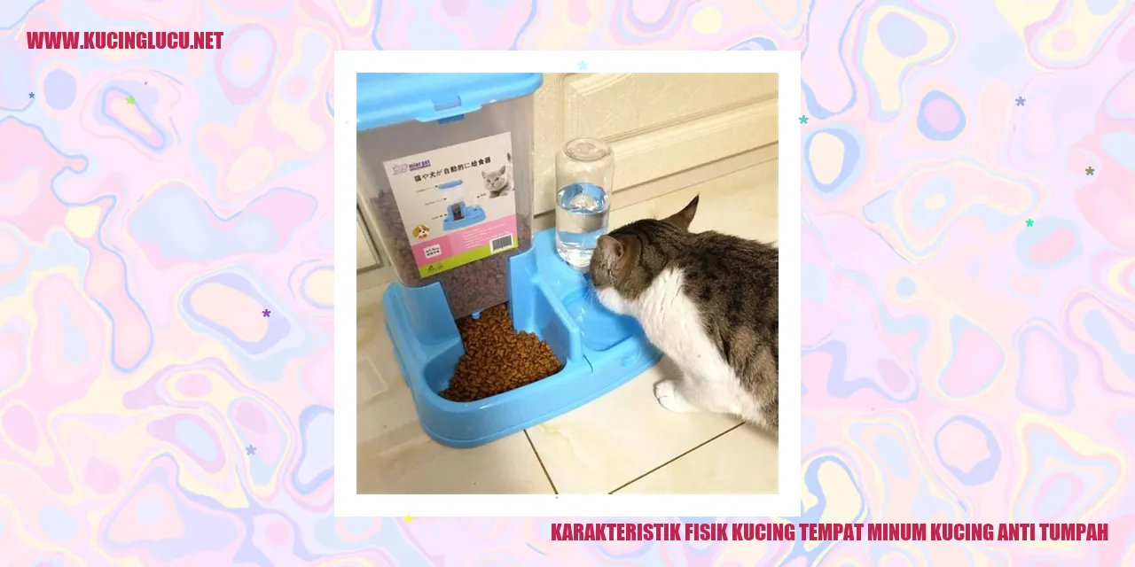 Karakteristik Fisik Kucing tempat minum kucing anti tumpah