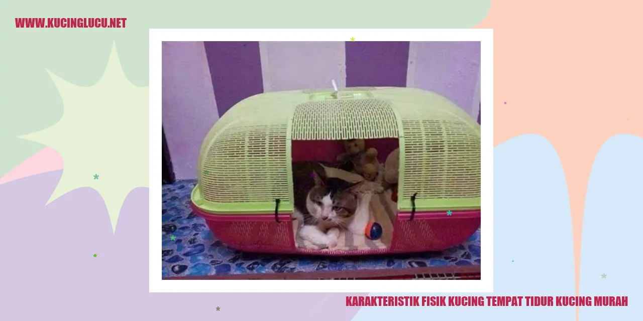 Karakteristik Fisik Kucing tempat tidur kucing murah
