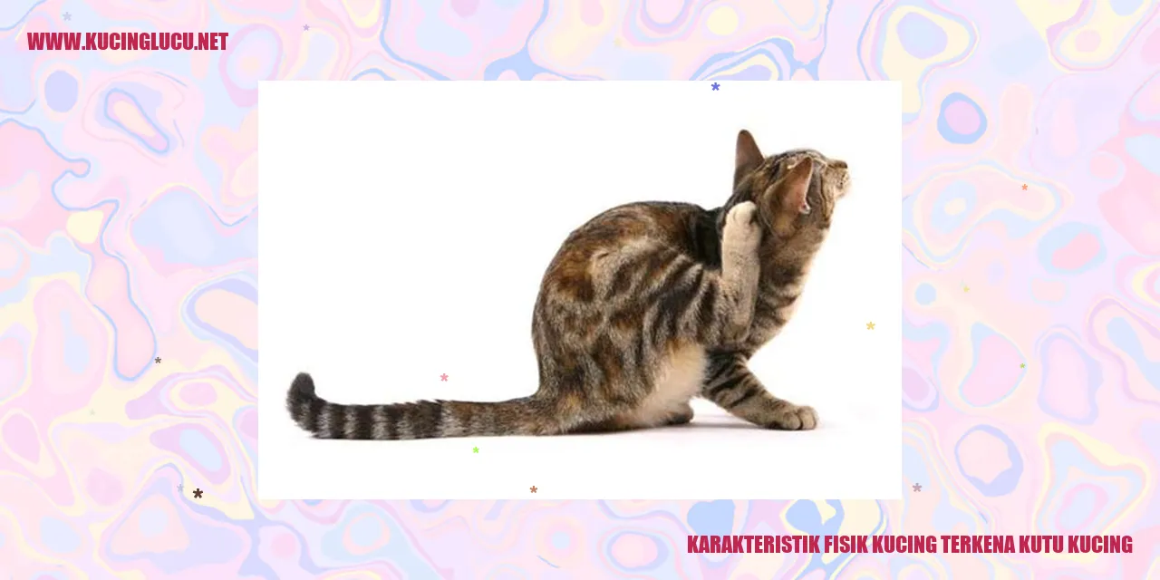 Karakteristik Fisik Kucing terkena kutu kucing