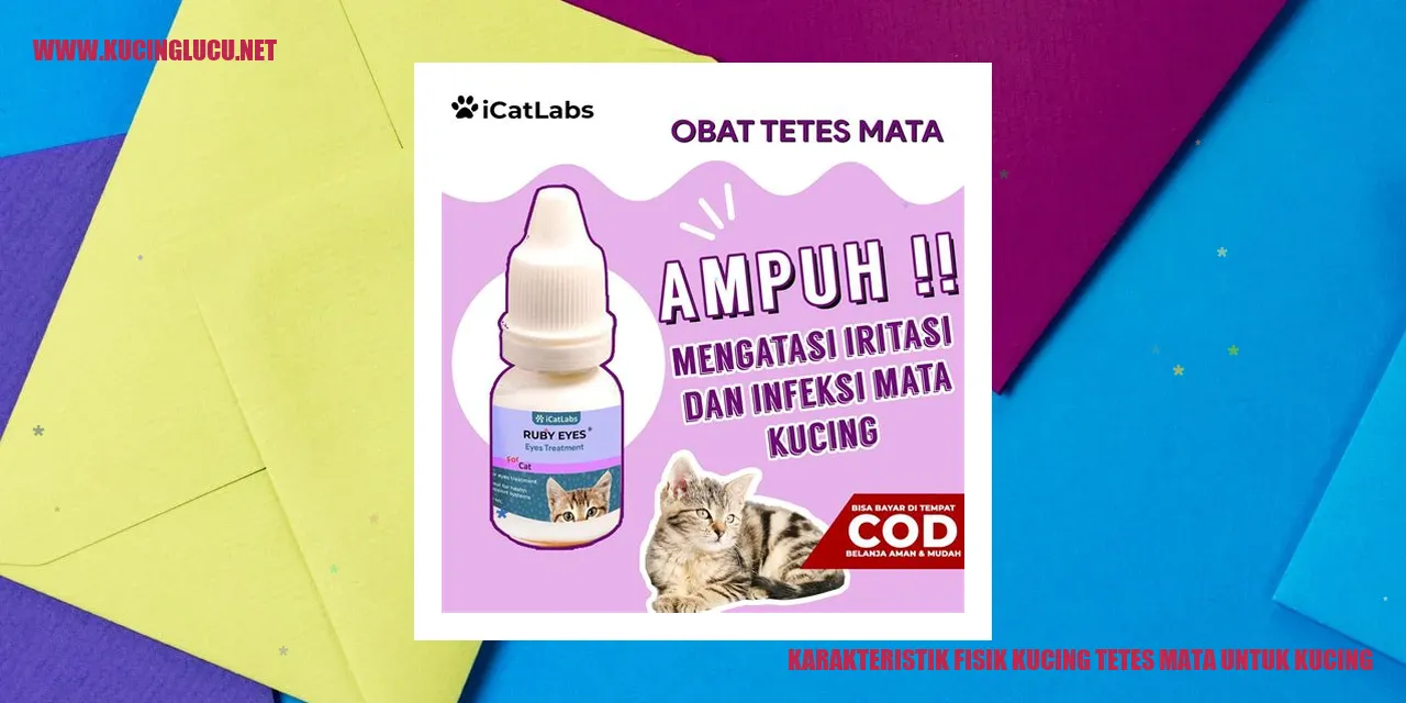 gambar kucing tetes mata