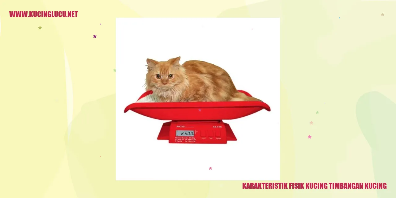 Karakteristik Fisik Kucing Timbangan Kucing
