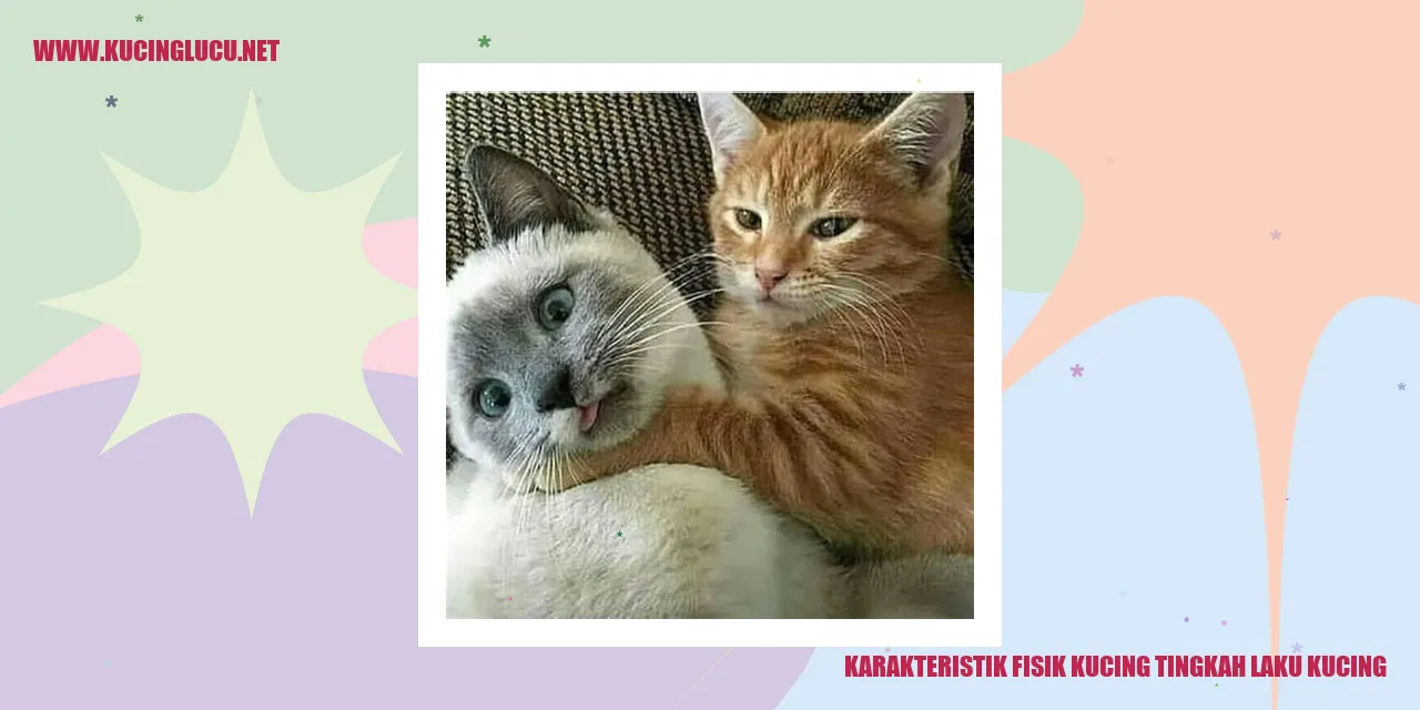 Karakteristik fisik kucing tingkah laku kucing