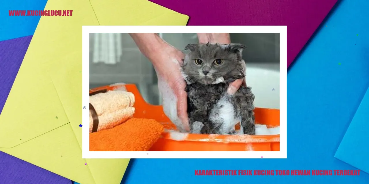 Karakteristik Fisik Kucing
