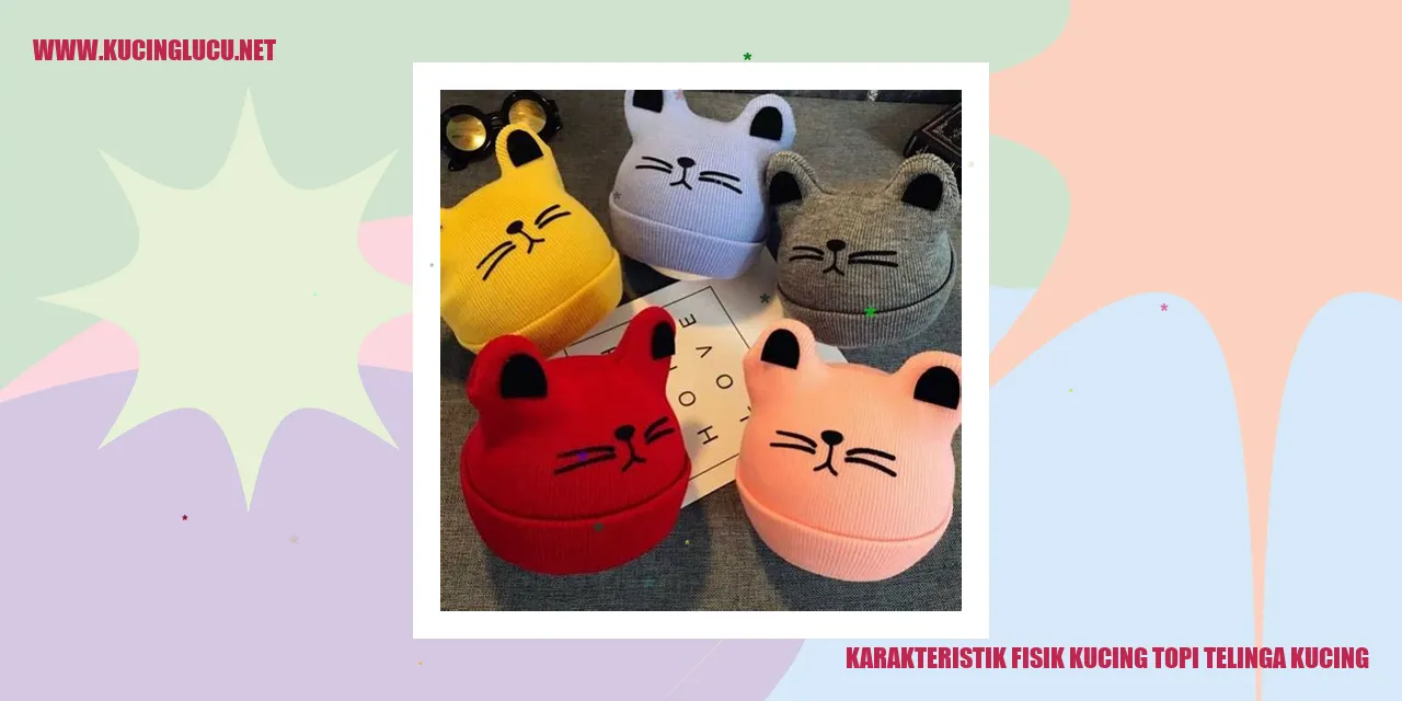 Karakteristik Fisik Kucing topi telinga kucing