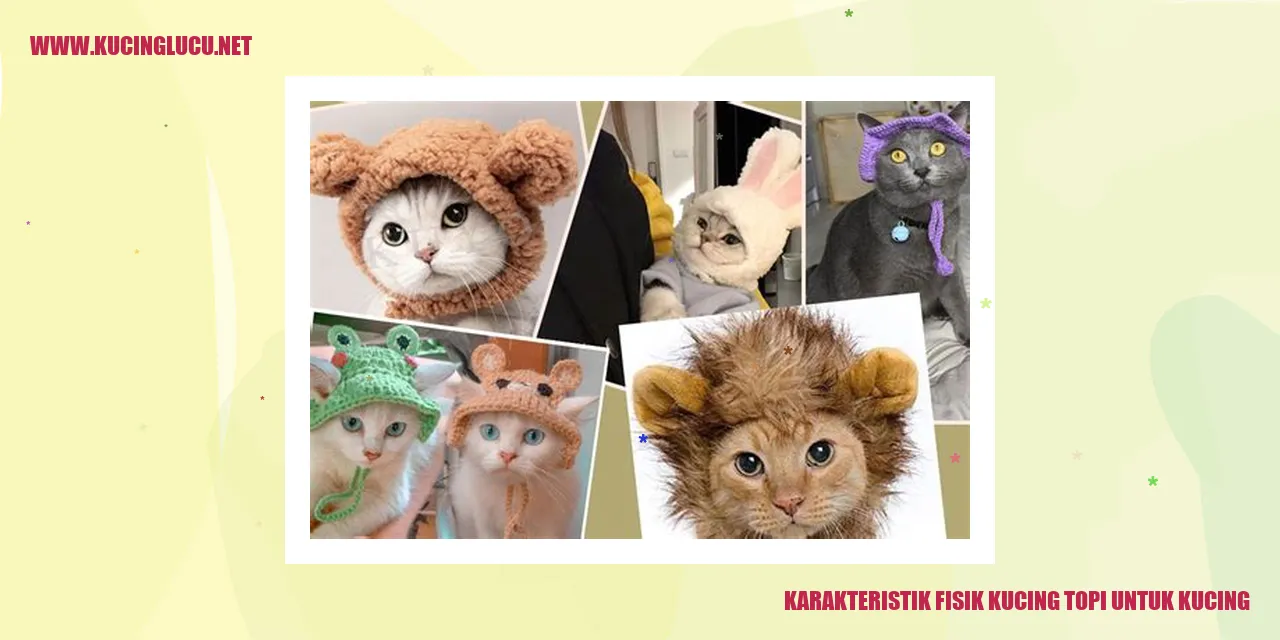 Karakteristik Fisik Kucing Topi Untuk Kucing