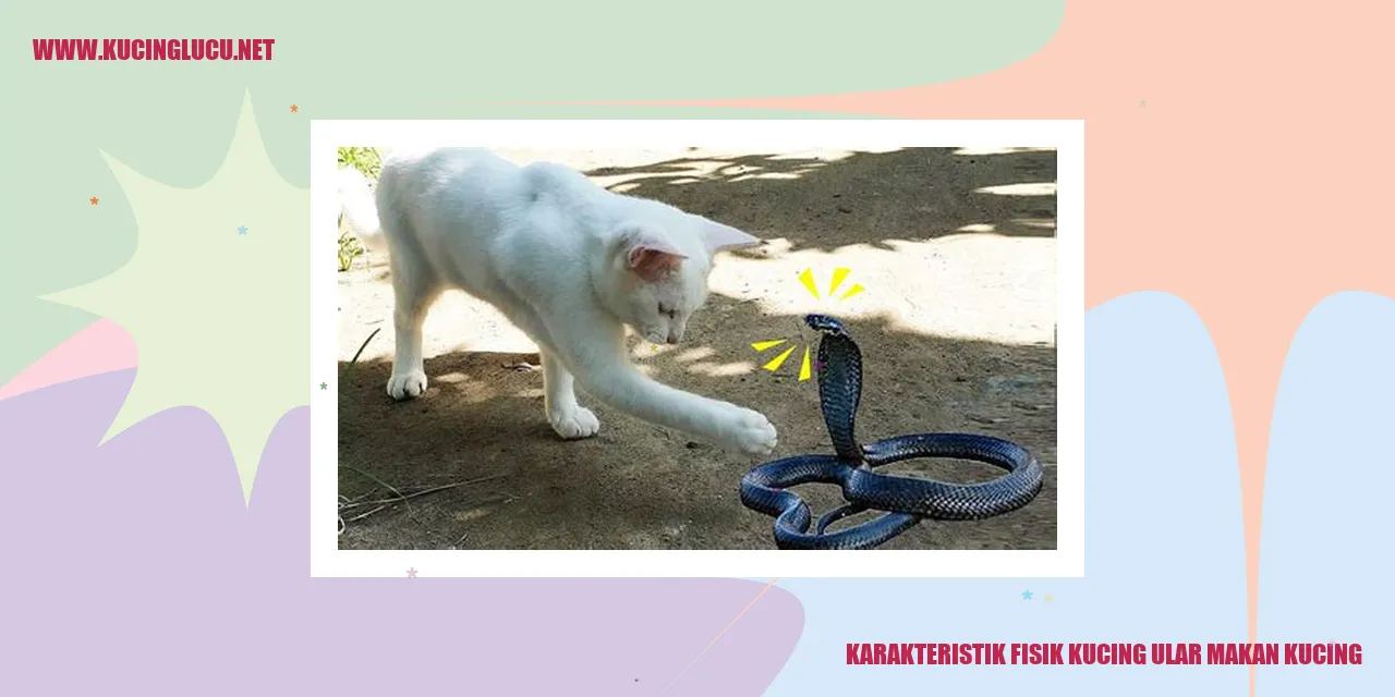 Karakteristik Fisik Kucing Ular Makan Kucing