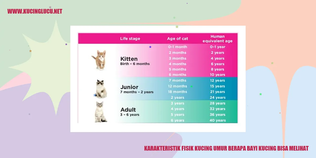 Bayi kucing yang baru lahir